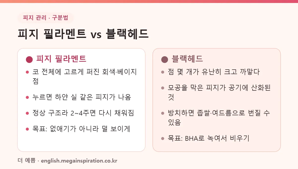 피지 필라멘트와 블랙헤드 구분법