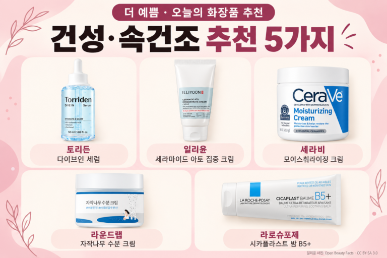건성 속건조 추천 5종: 토리든 다이브인 세럼, 일리윤 세라마이드 아토 집중 크림, 세라비 모이스춰라이징 크림, 라운드랩 자작나무 수분 크림, 라로슈포제 시카플라스트 밤 B5+